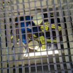 Übung Fahrzeug- und Gerätekunde MZF